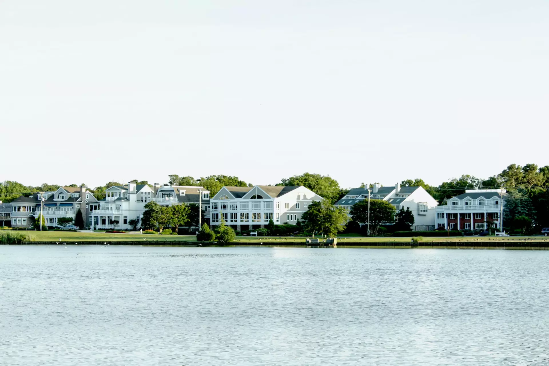 Conroe, TX artificial turf projects
